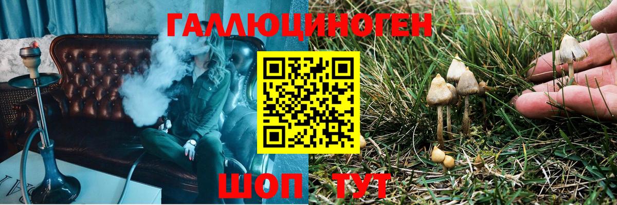 Псилоцибиновые грибы мицелий  Галлюциногенные грибы прущие грибы  Десногорск  Вход с VPN 